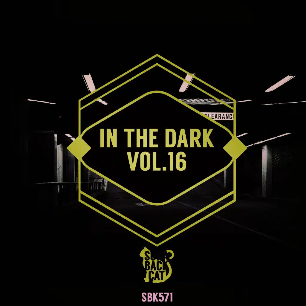 In the Dark, Vol. 16