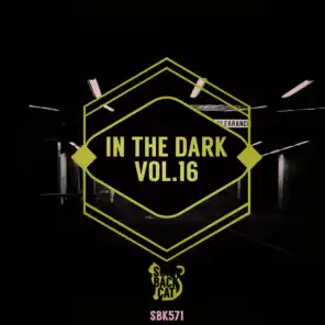 In the Dark, Vol. 16
