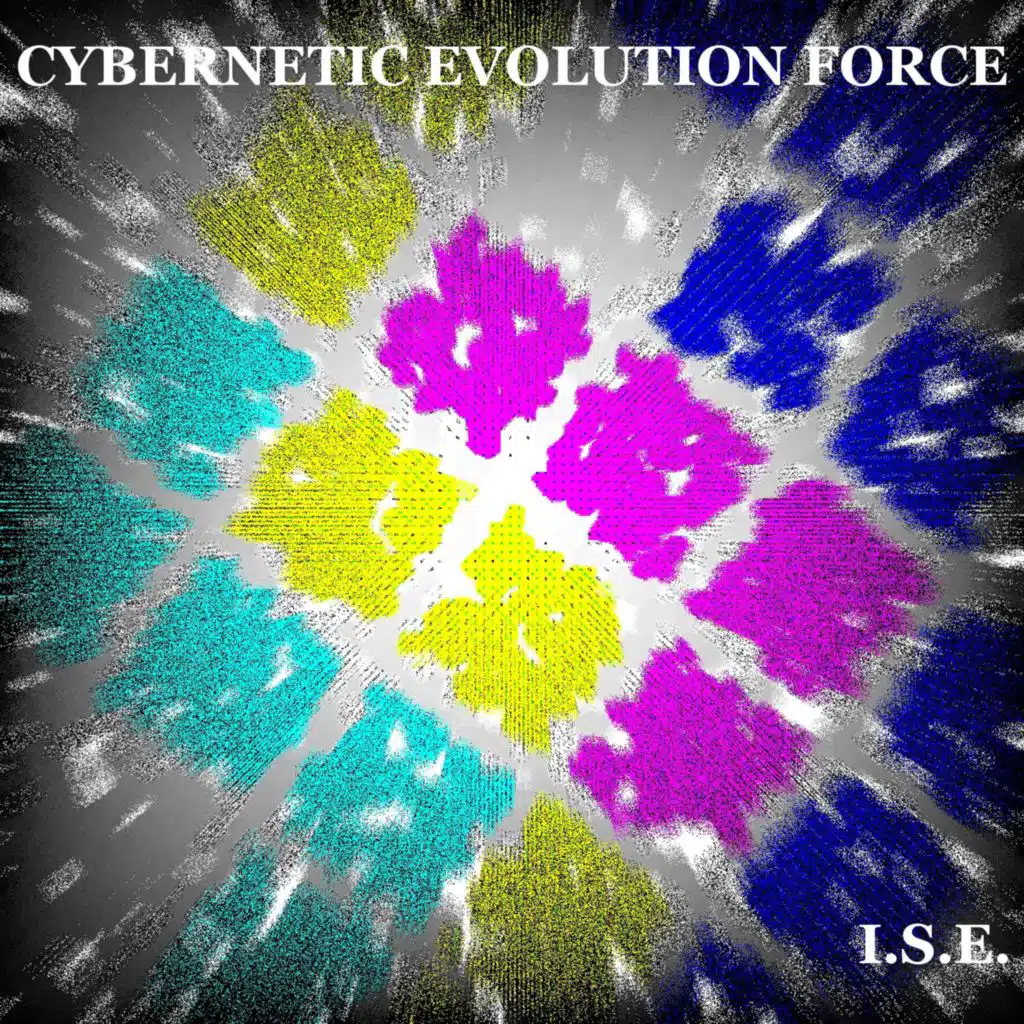 I.S.E.
