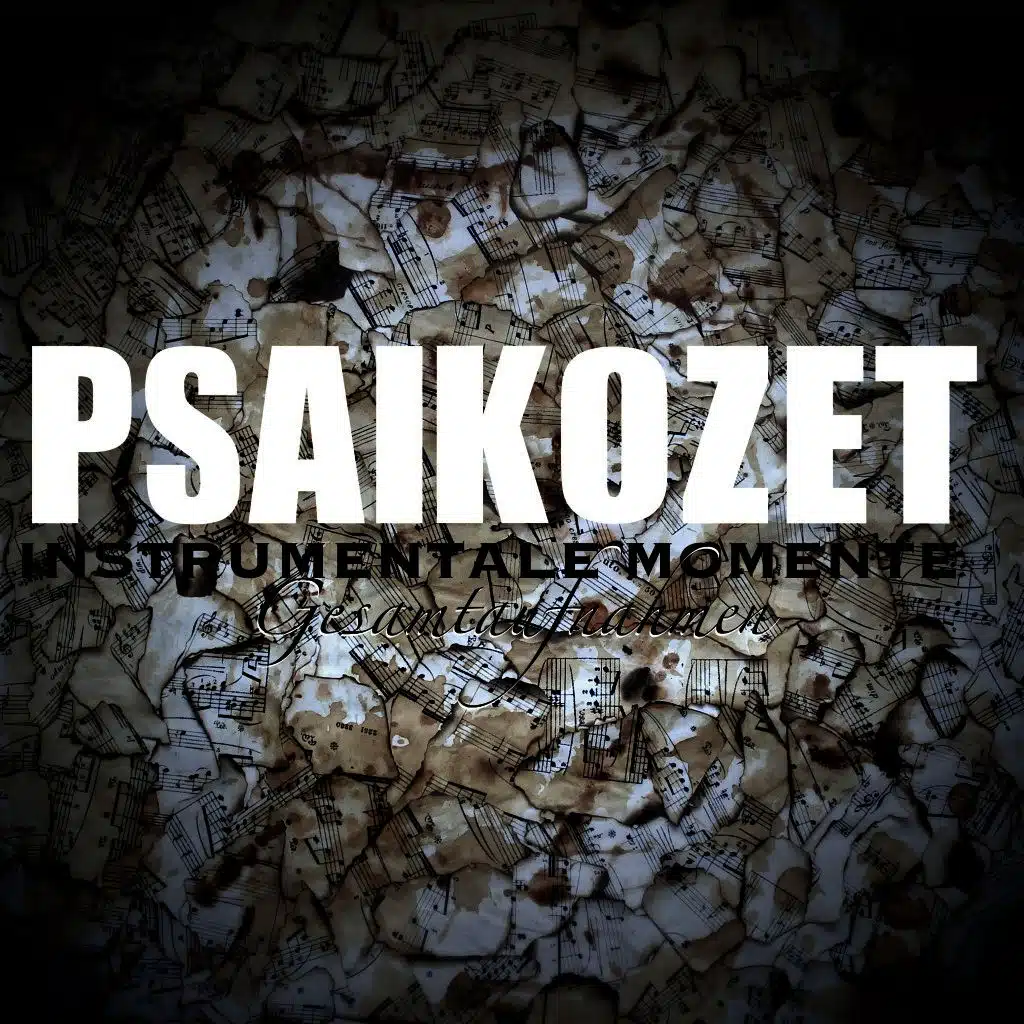 Instrumentale Momente