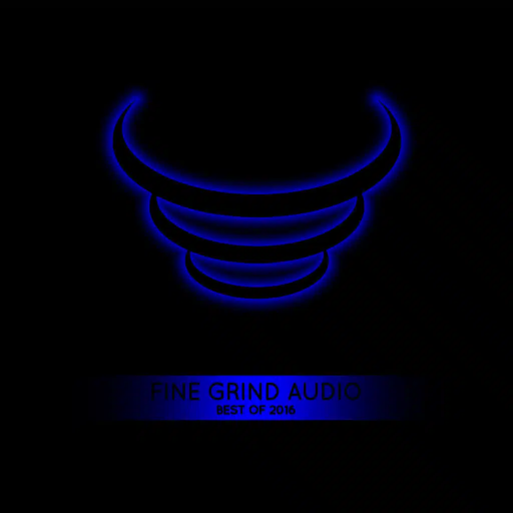 Fine Grind Audio: Best of 2016
