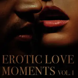 Erotic Love Moments, Vol. 1