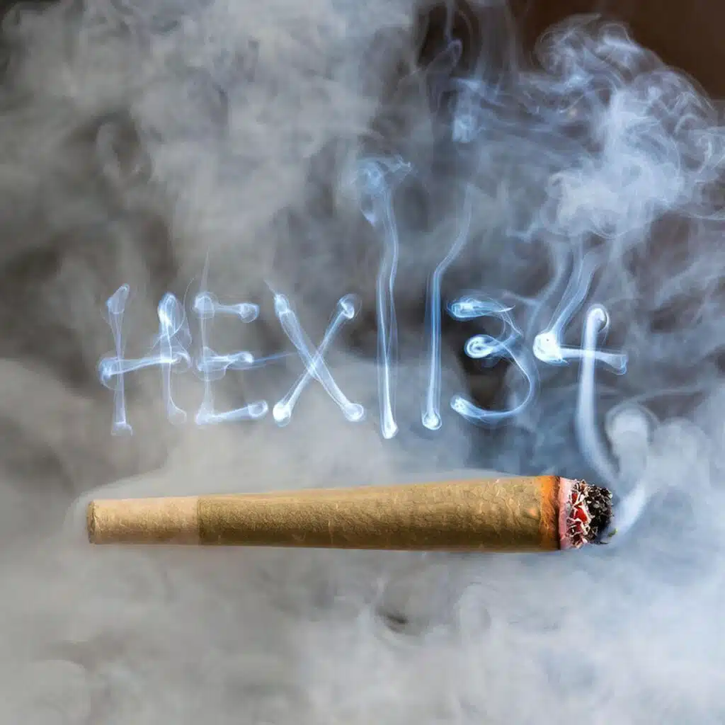Hex1134