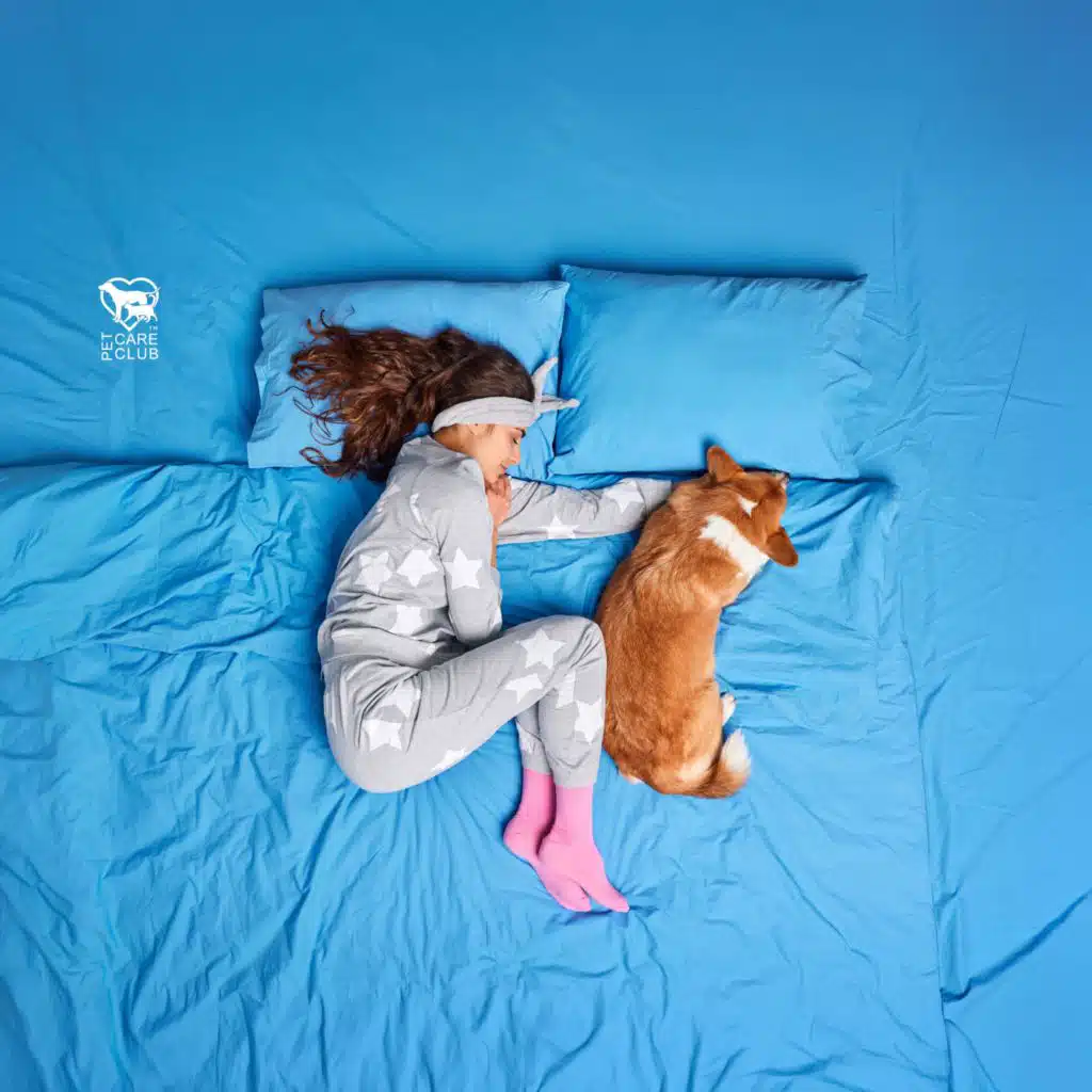 Pet Care Club