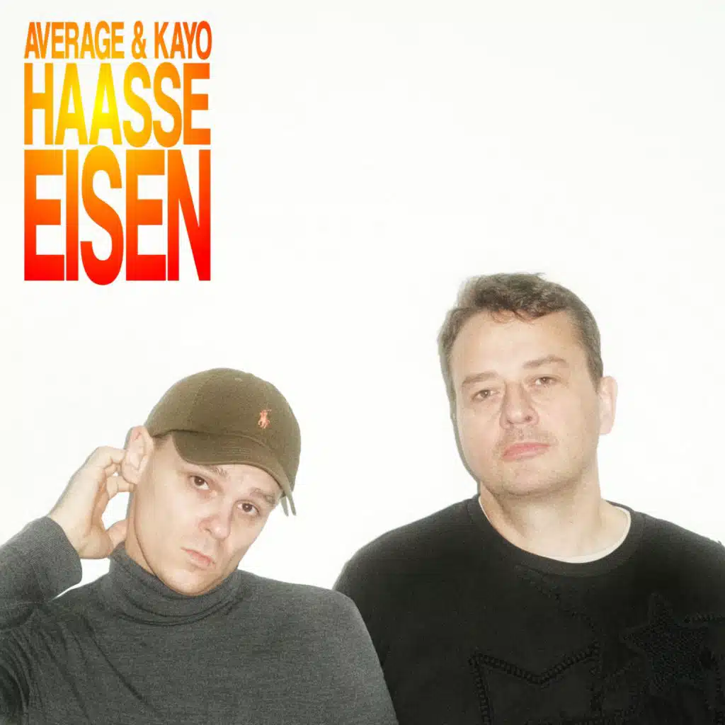 Haasse Eisen