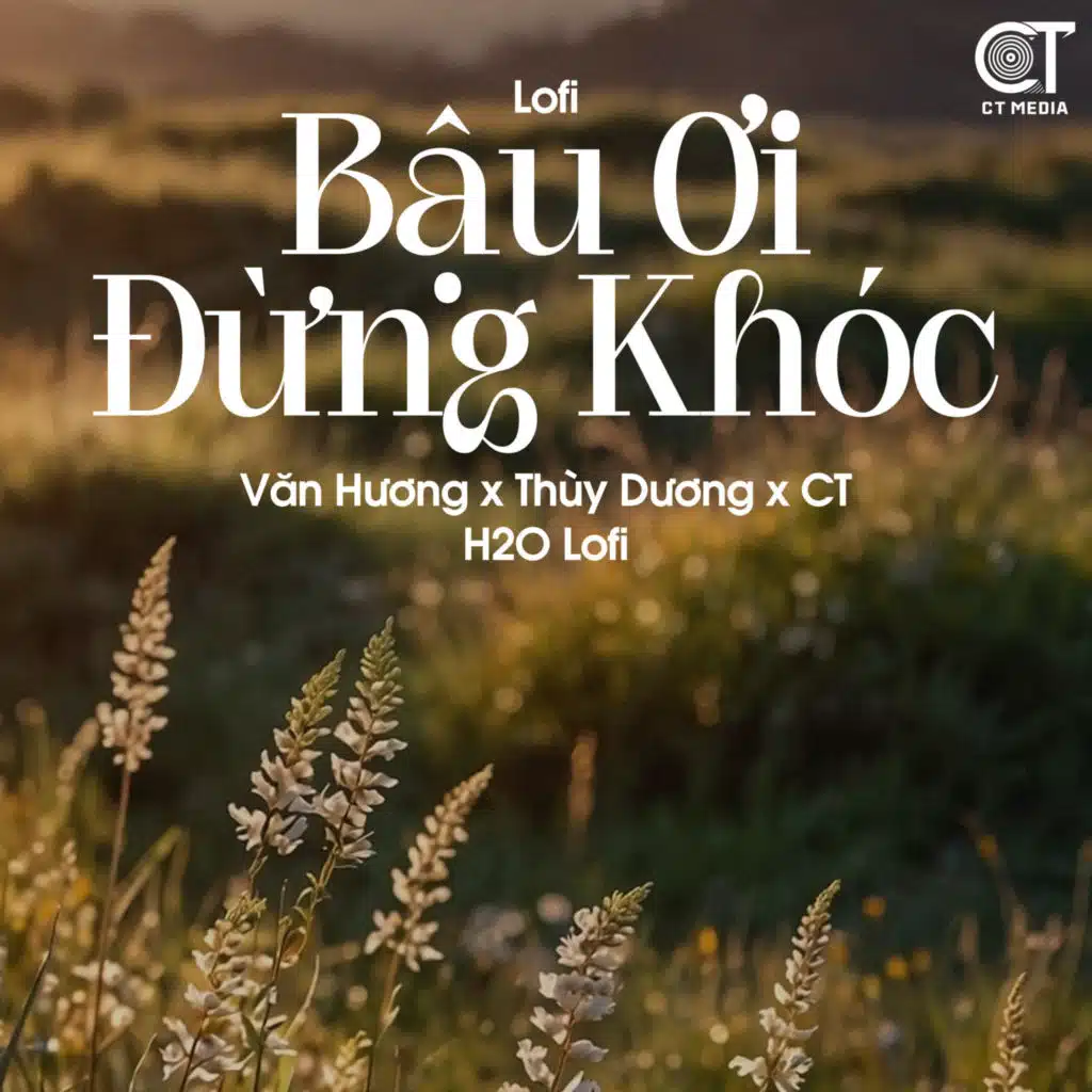 Bậu Ơi Đừng Khóc (Lofi) [feat. Nguyenn]