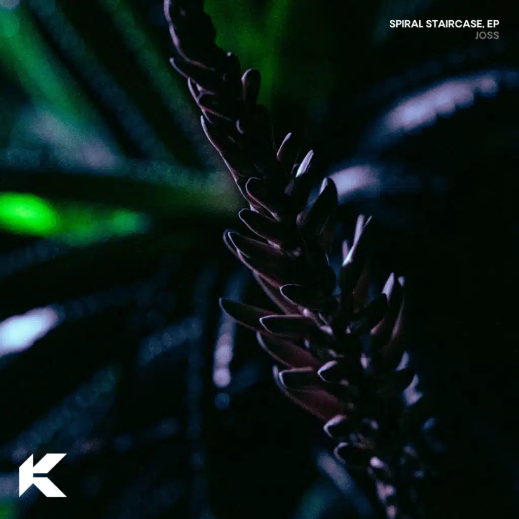 Spiral Staircase EP