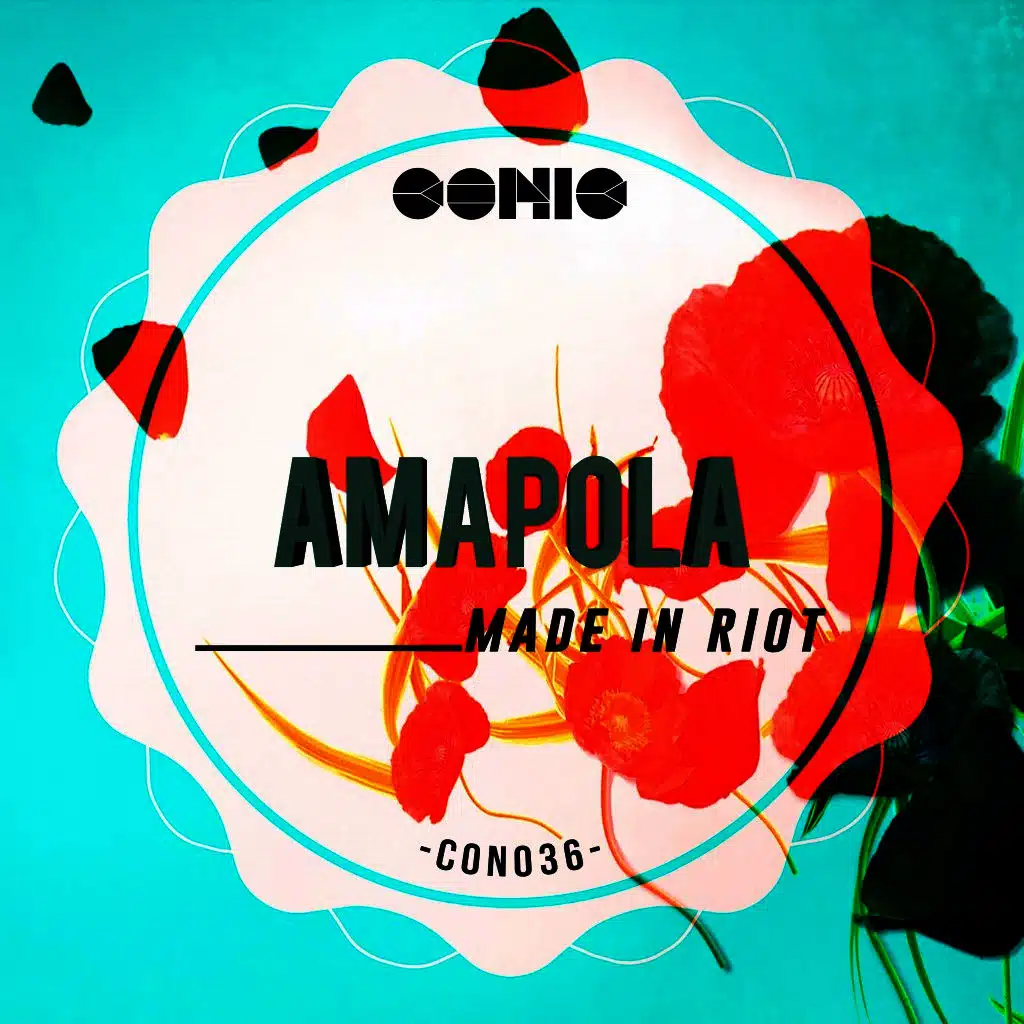 Amapola