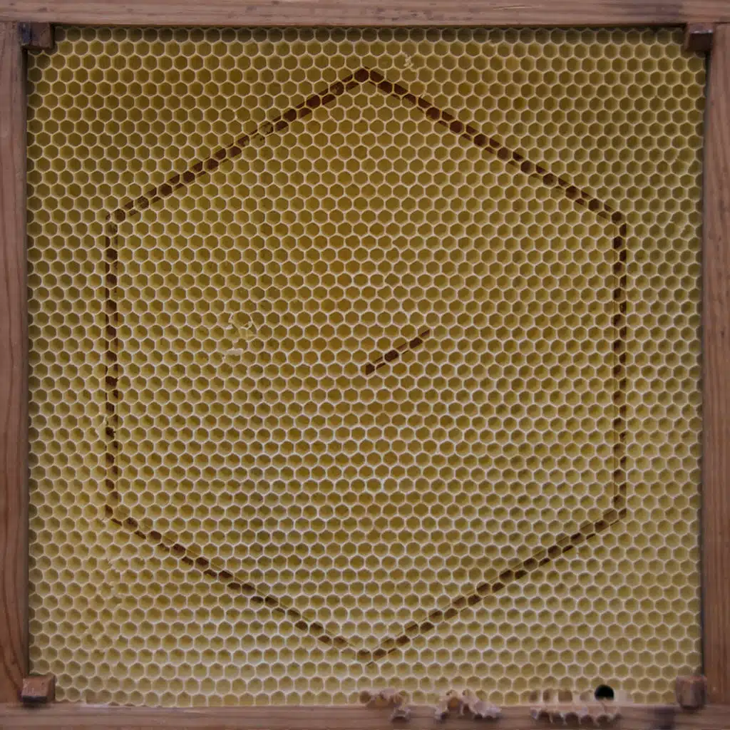 Beekeeper