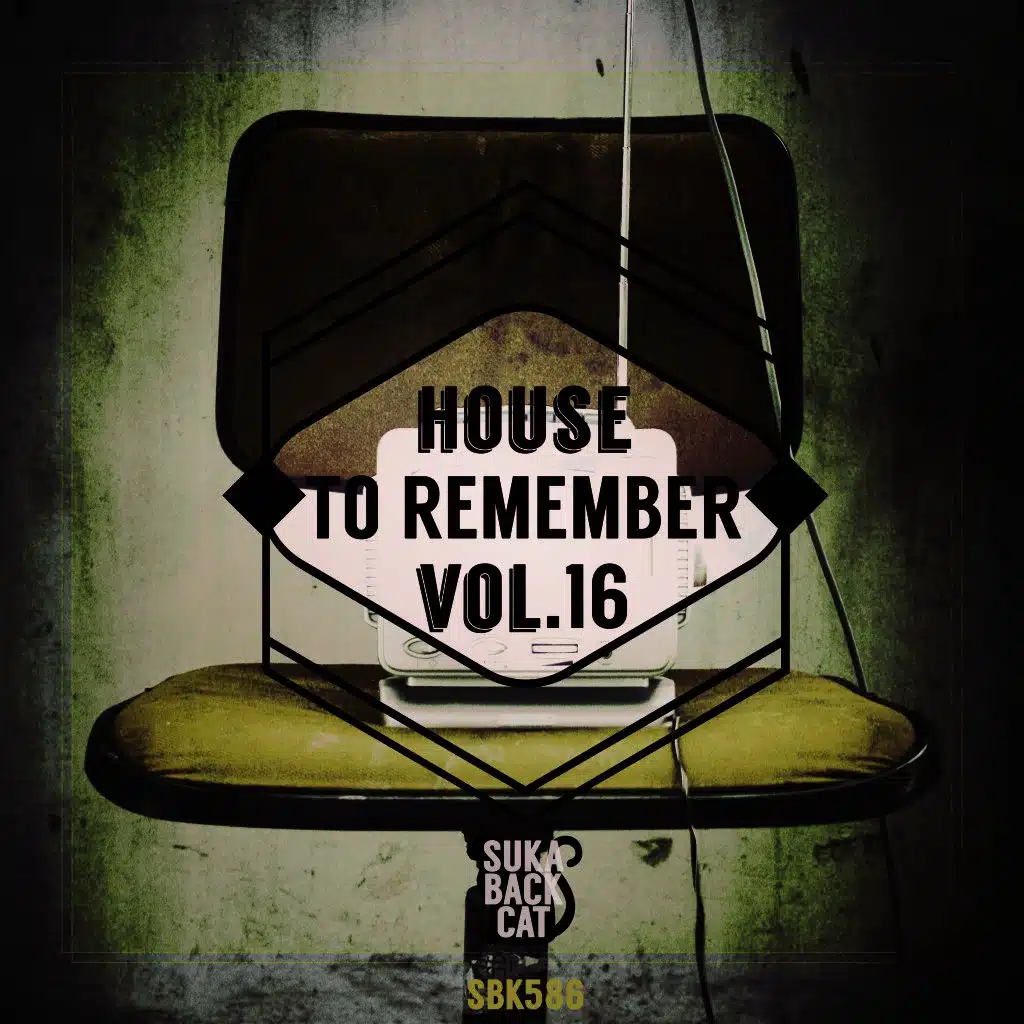 House to Remember, Vol. 16