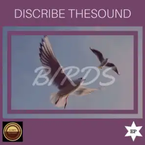 Discribe TheSound
