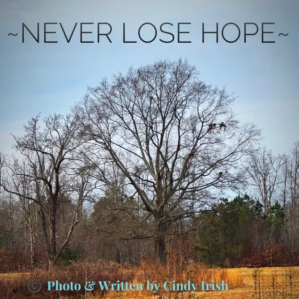 Never lose hope