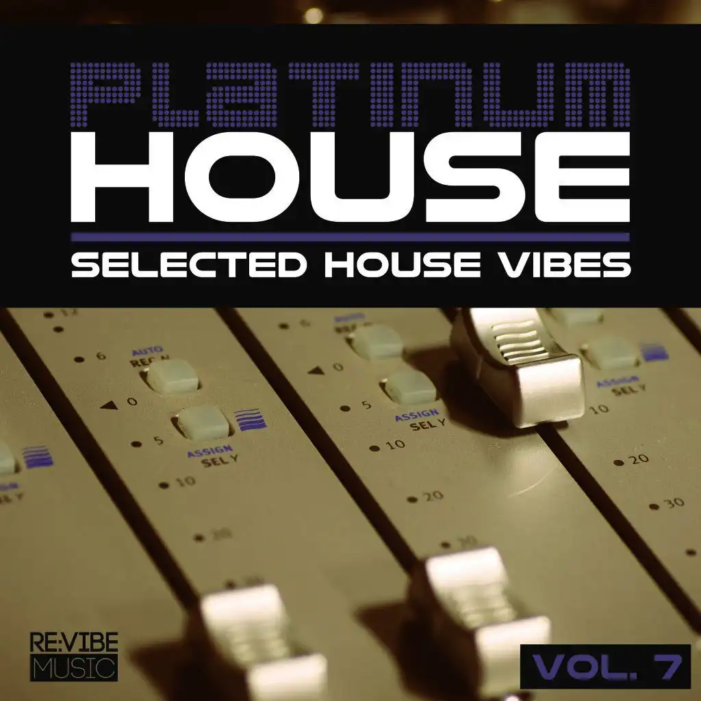 Platinum House - Selected House Vibes, Vol. 7