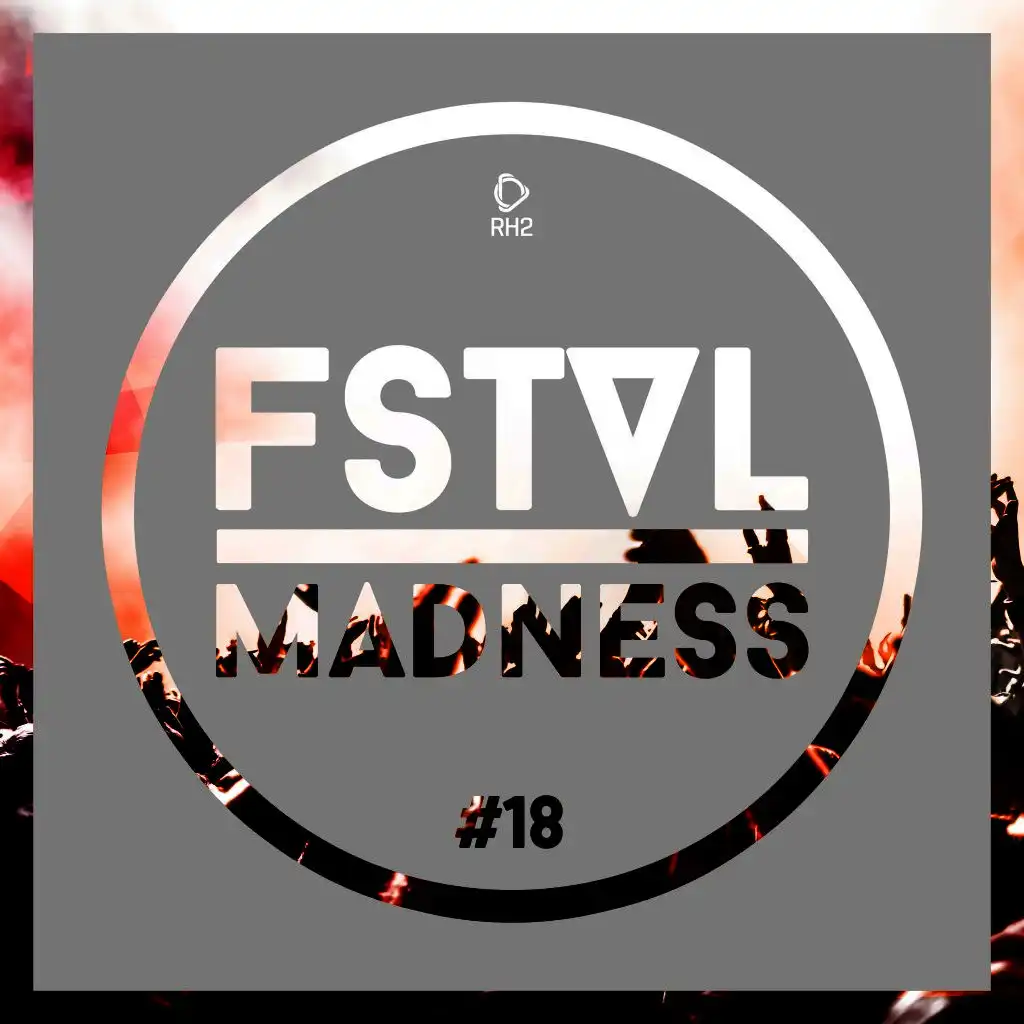 Fstvl Madness - Pure Festival Sounds, Vol. 18