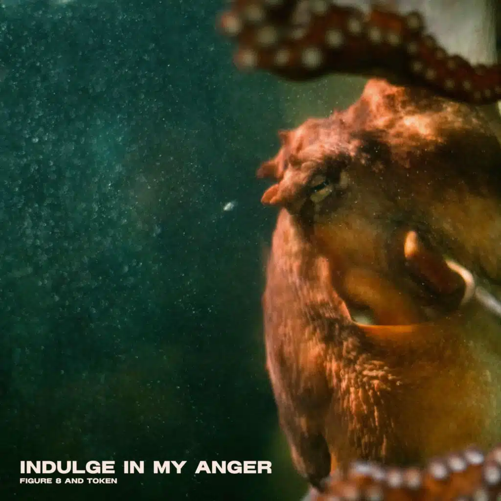 Indulge in my Anger (feat. TokenTurnItUp)