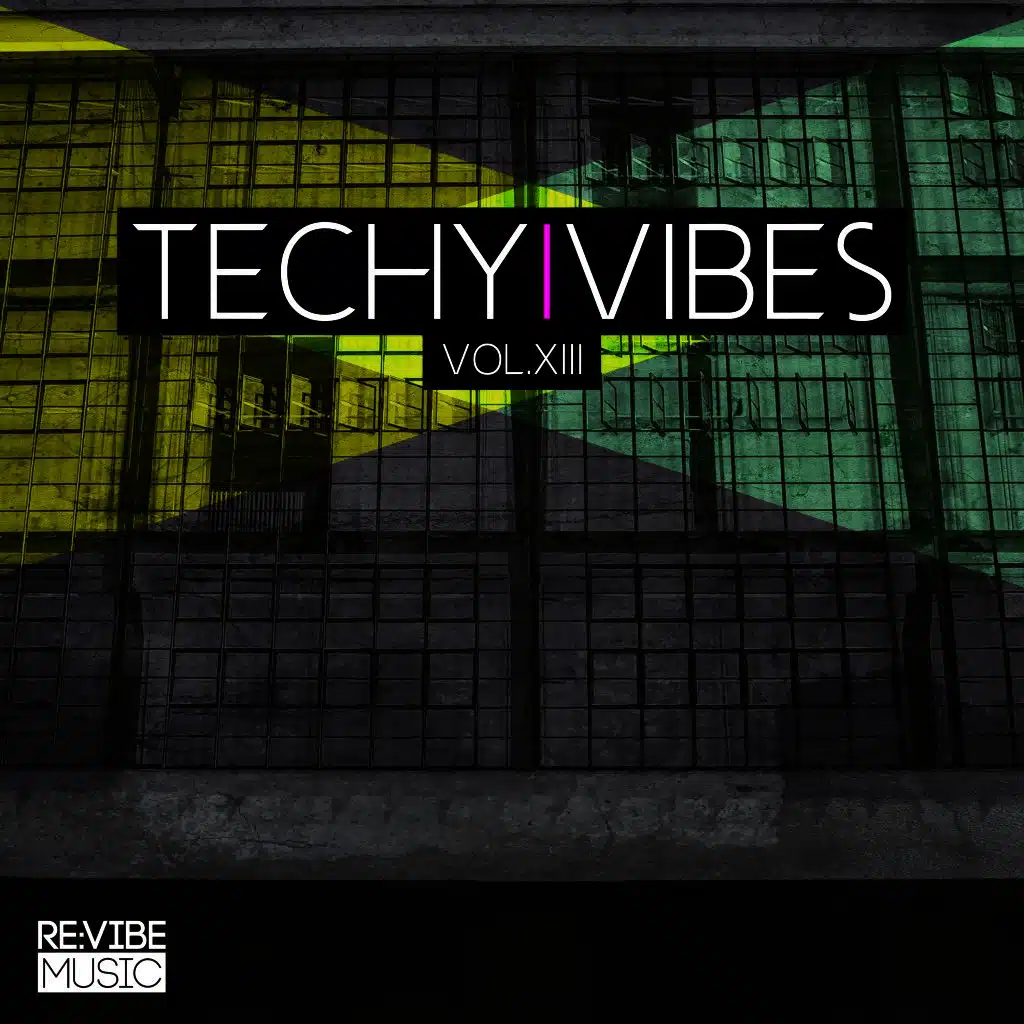 Techy Vibes, Vol. 13