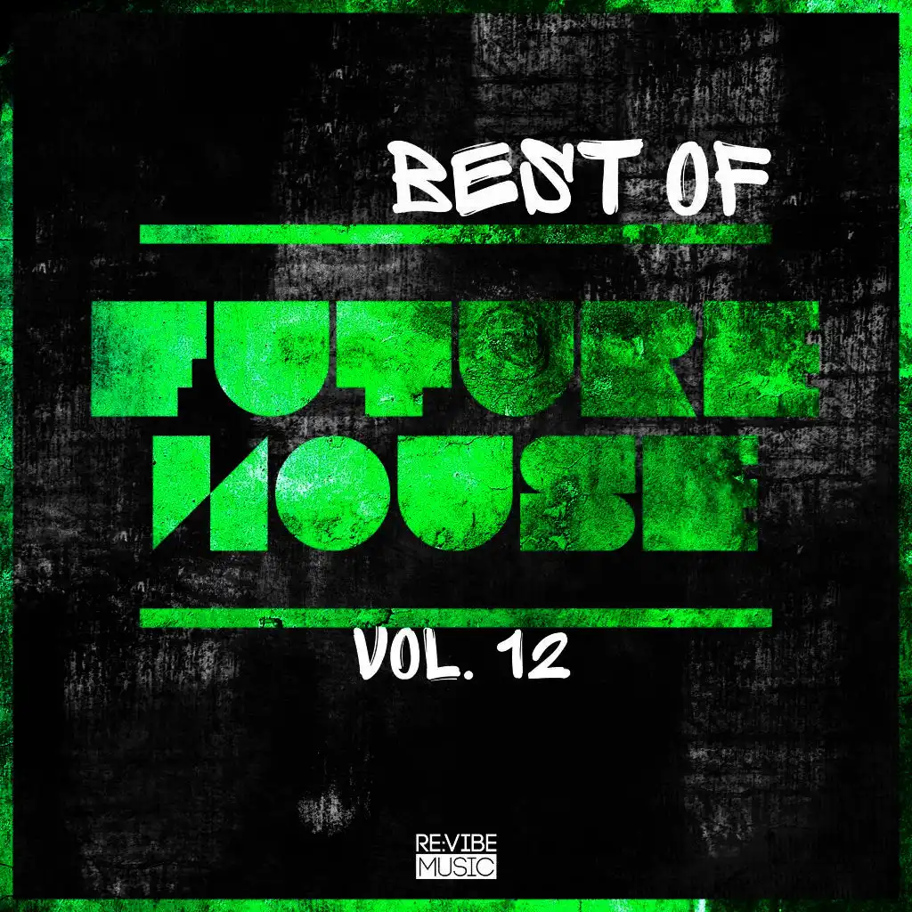 Best of Future House, Vol. 12