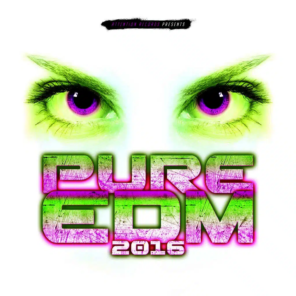 Pure EDM 2016