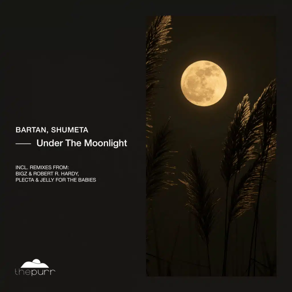 Under The Moonlight