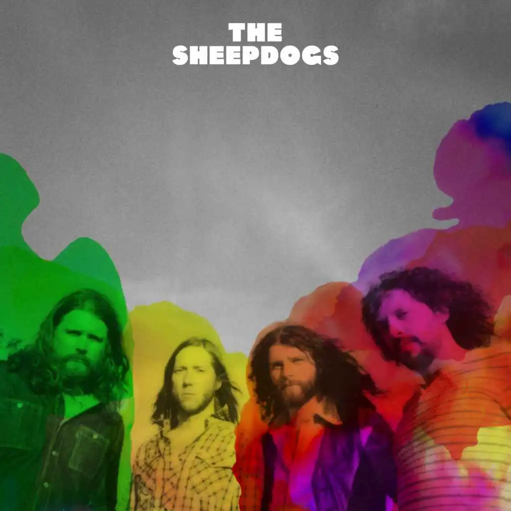 The Sheepdogs