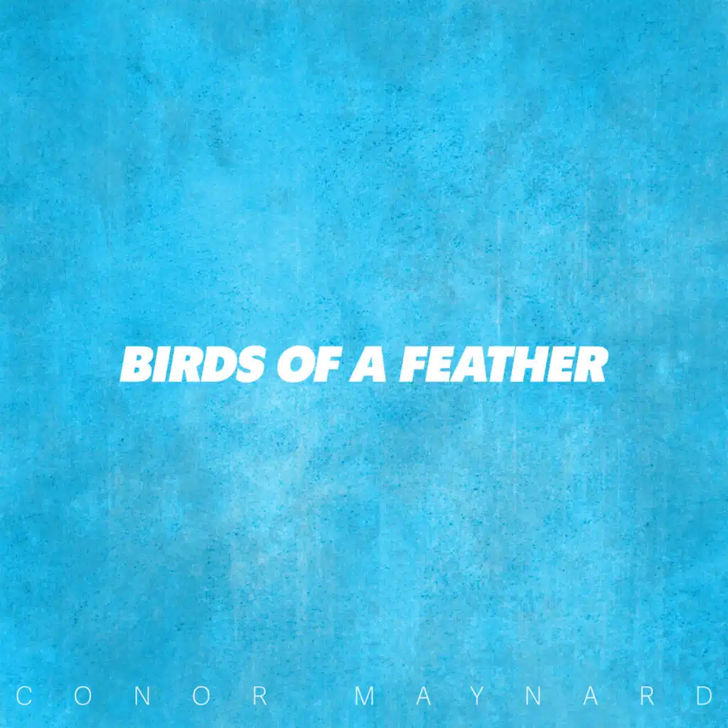 Birds Of A Feather