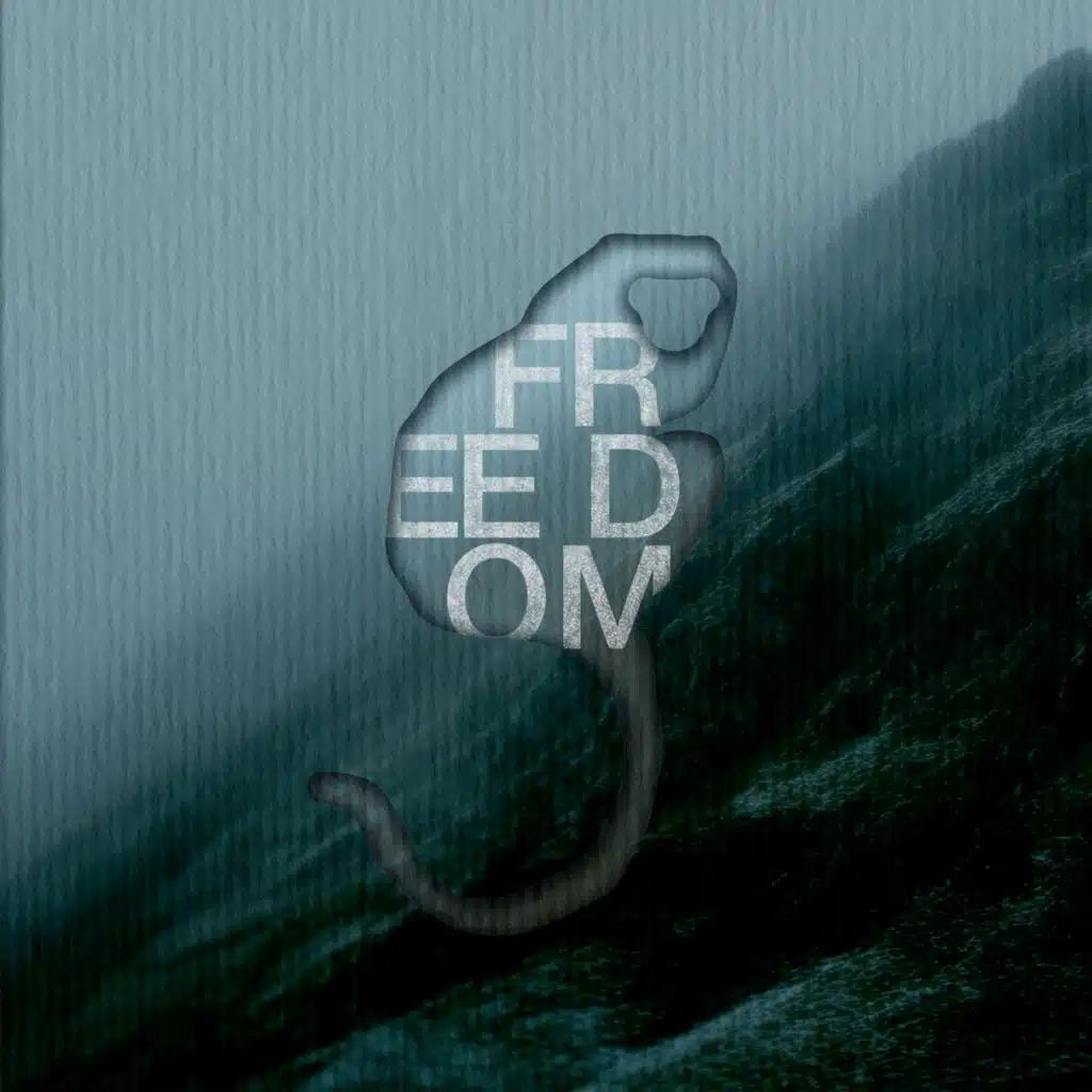 Freedom