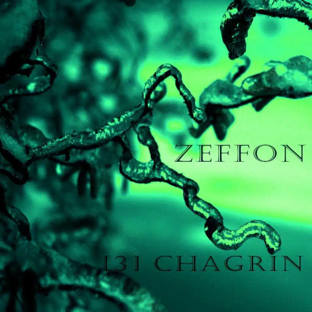 [3] Chagrin