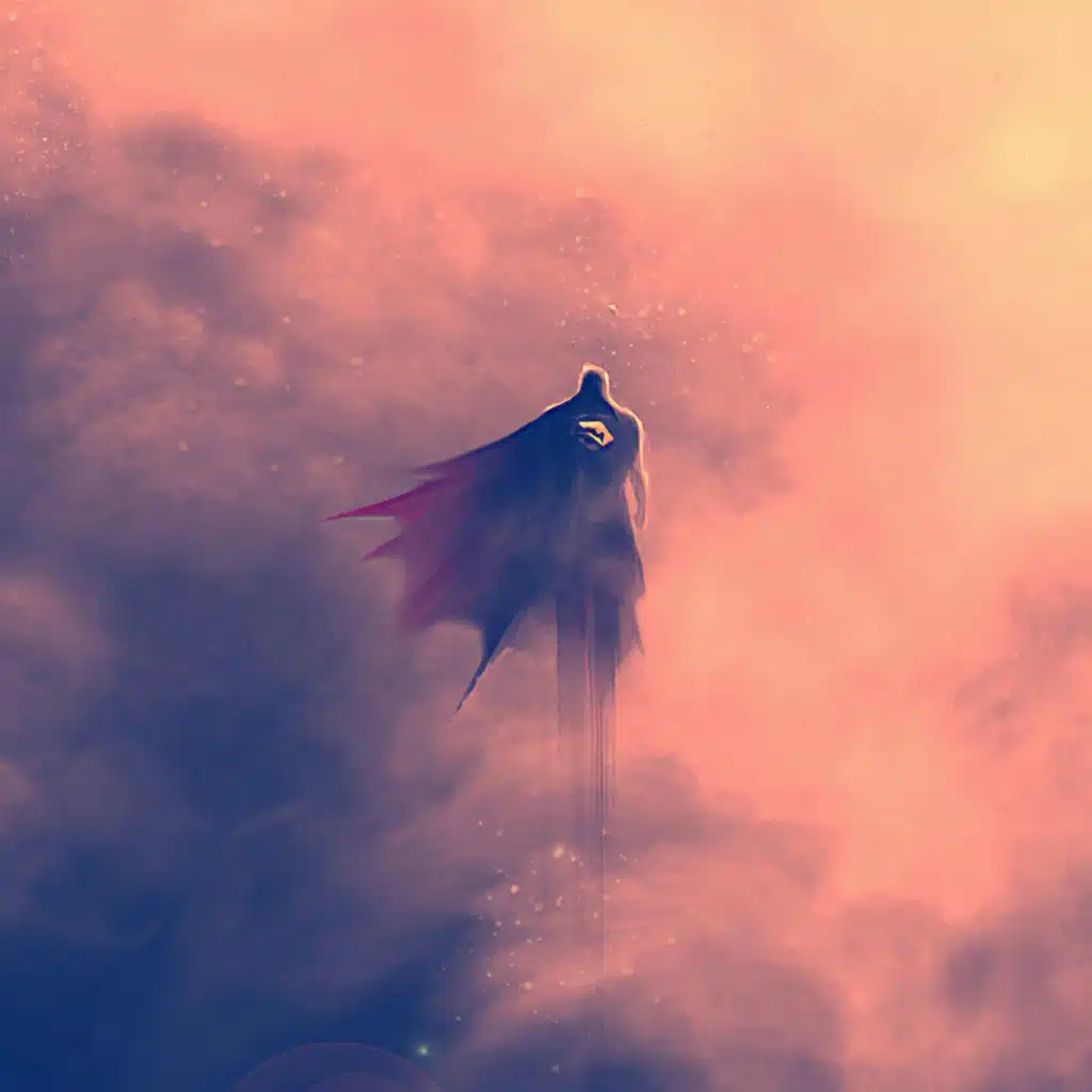 Fly