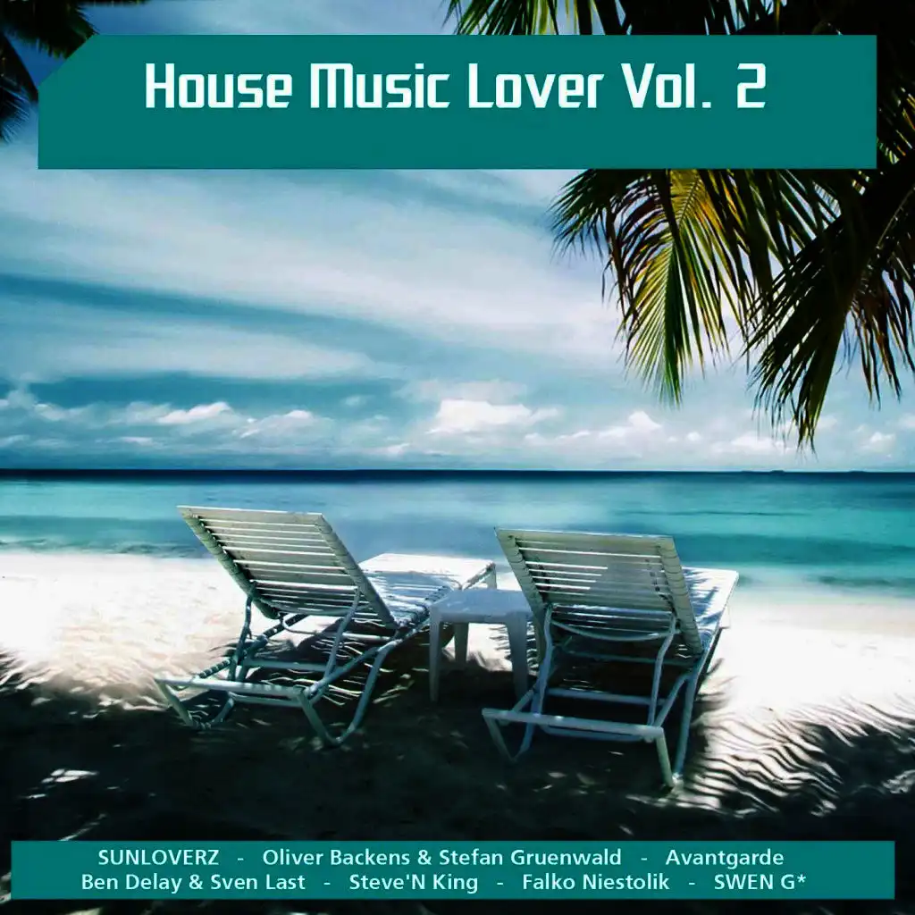 House Music Lover, Vol. 2