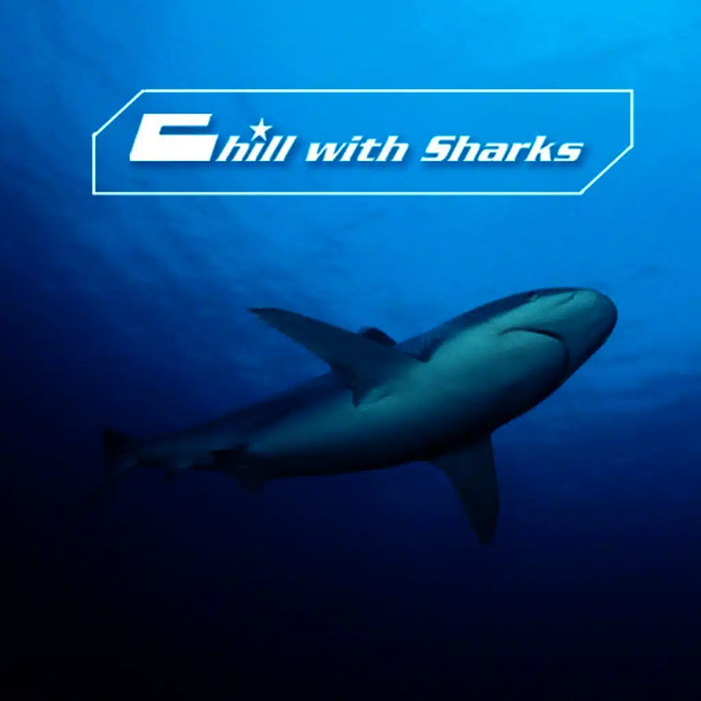 Chill with Sharks