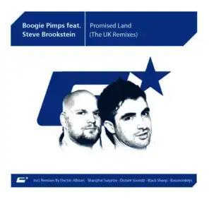 Promised Land (The UK Remixes)