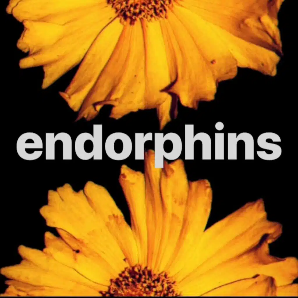 Endorphins