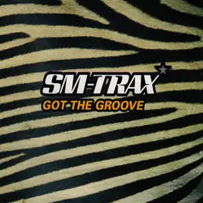 Got the Groove (SM Radio Edit)