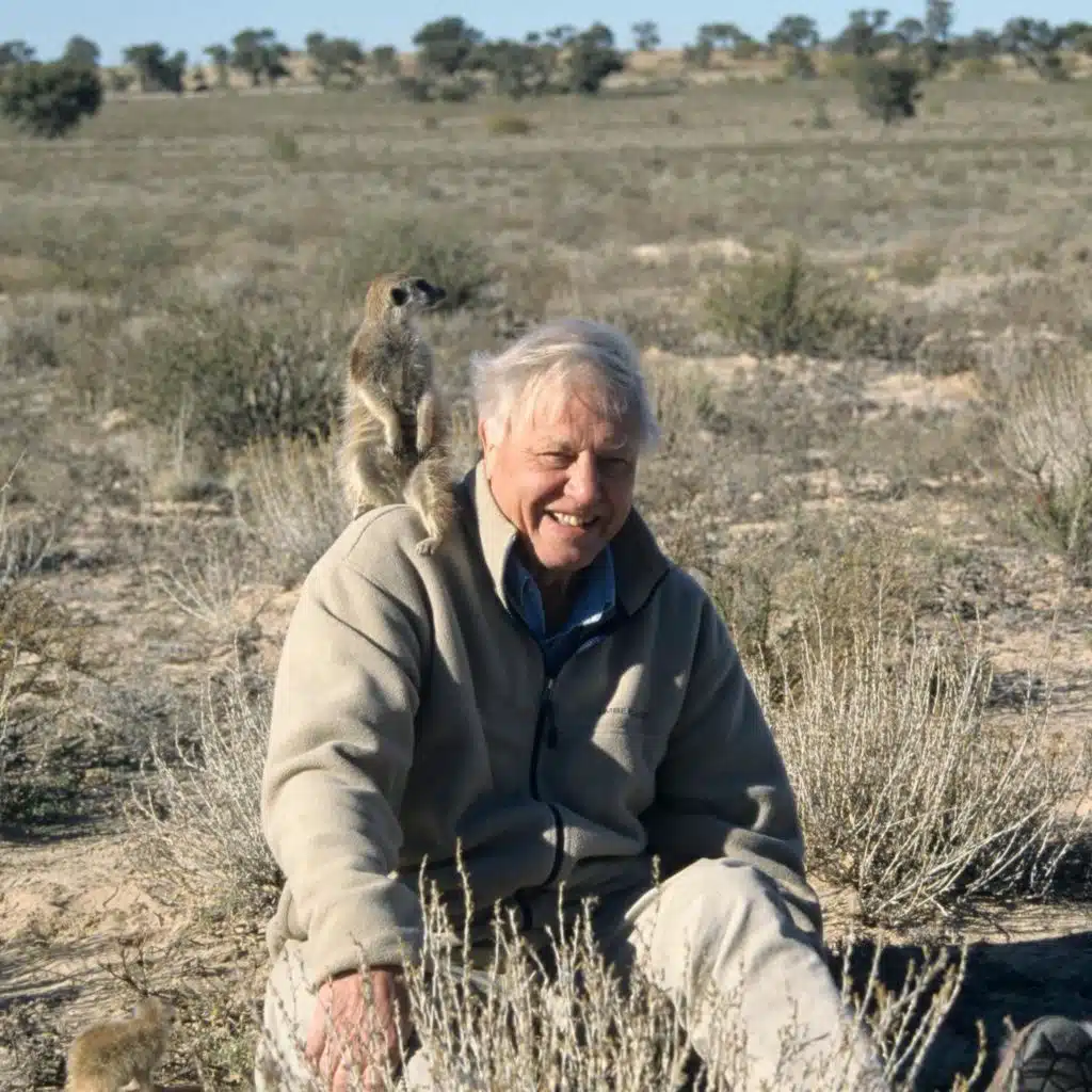 One hundred years of David Attenborough