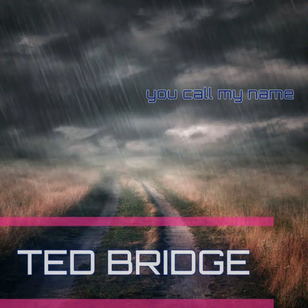 Ted Bridge