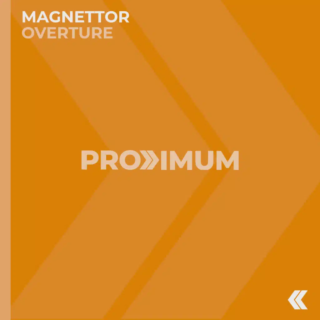 Magnettor