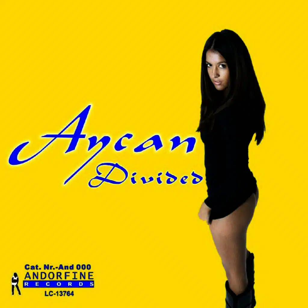 Divided (Commercial Club Crew Remix)