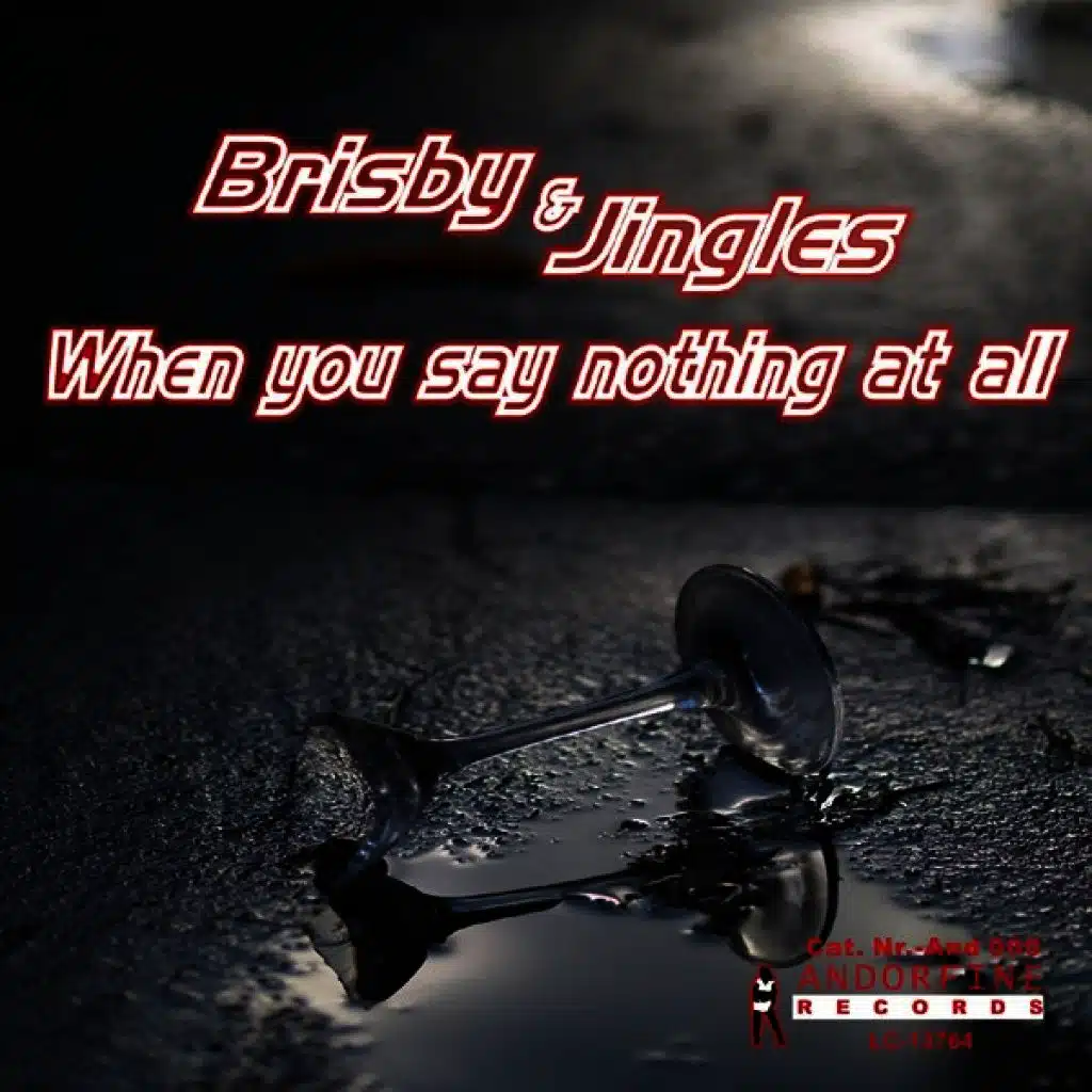 When You Say Nothing at All