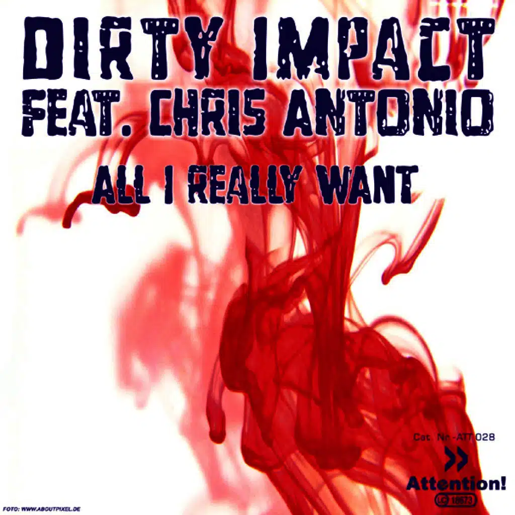 All I Really Want (Extended Mix)