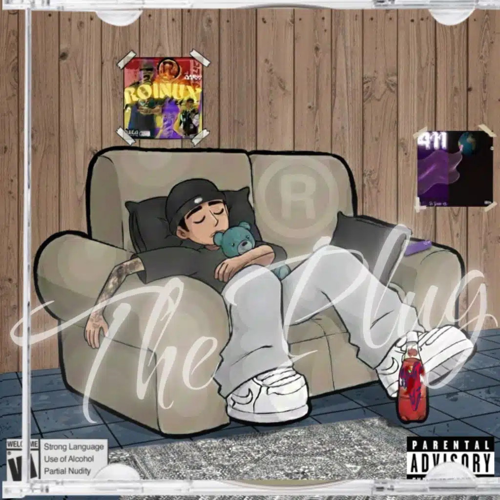 The plug