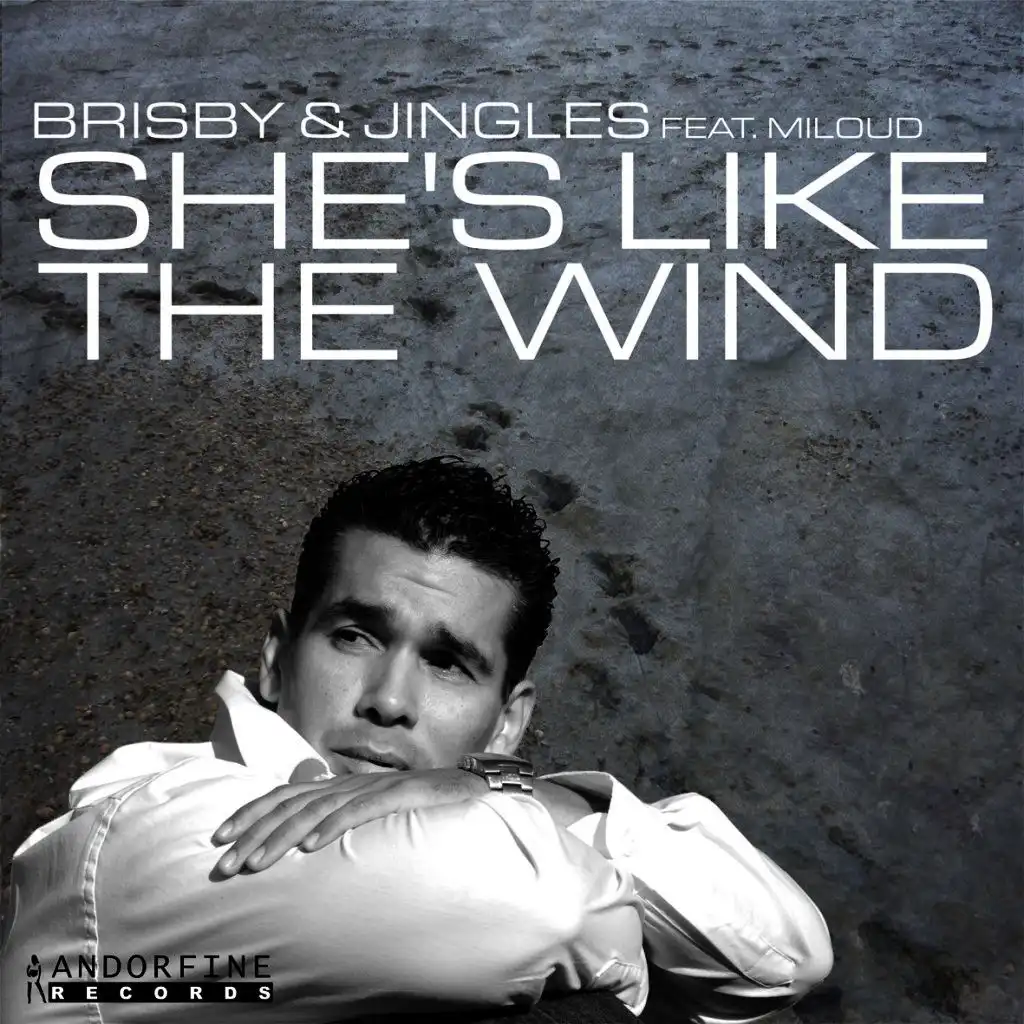 She's Like the Wind (Tim Verba Radio Cut)