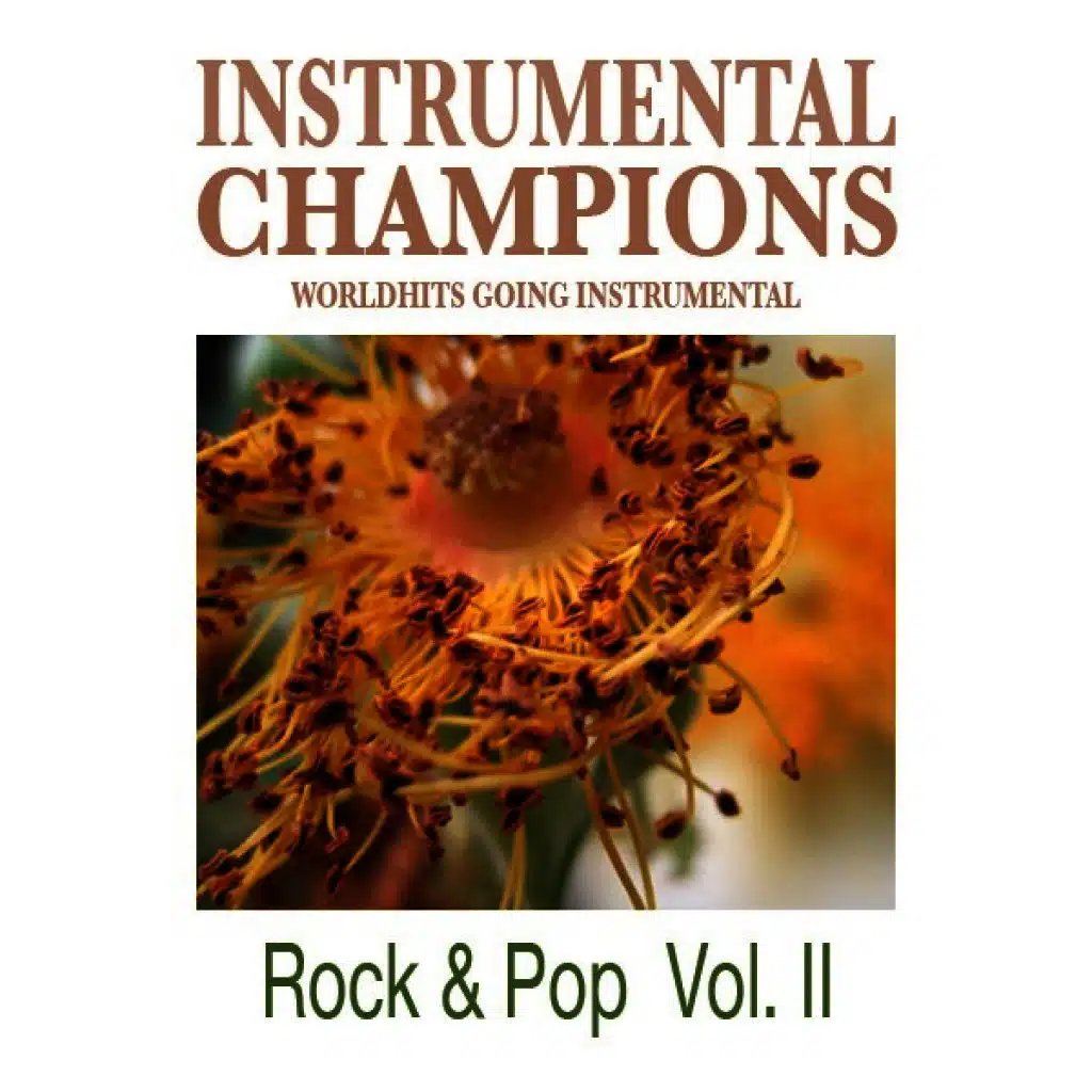Rock & Pop Vol. 2