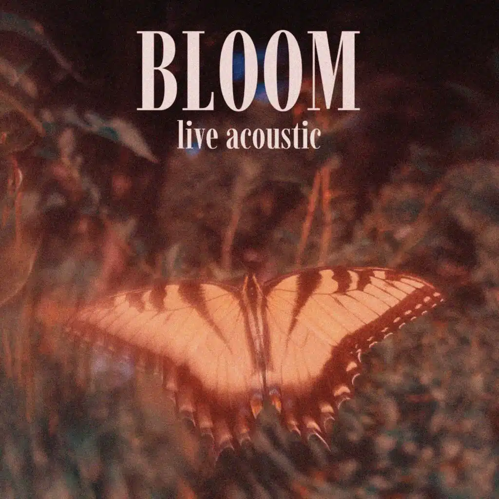 Bloom (live acoustic)
