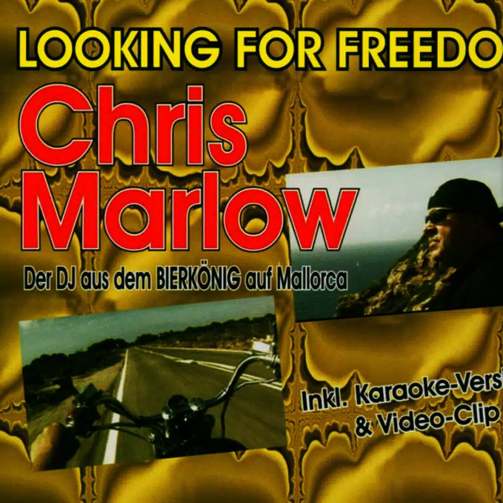 Looking For Freedom (Karaoke Mix)