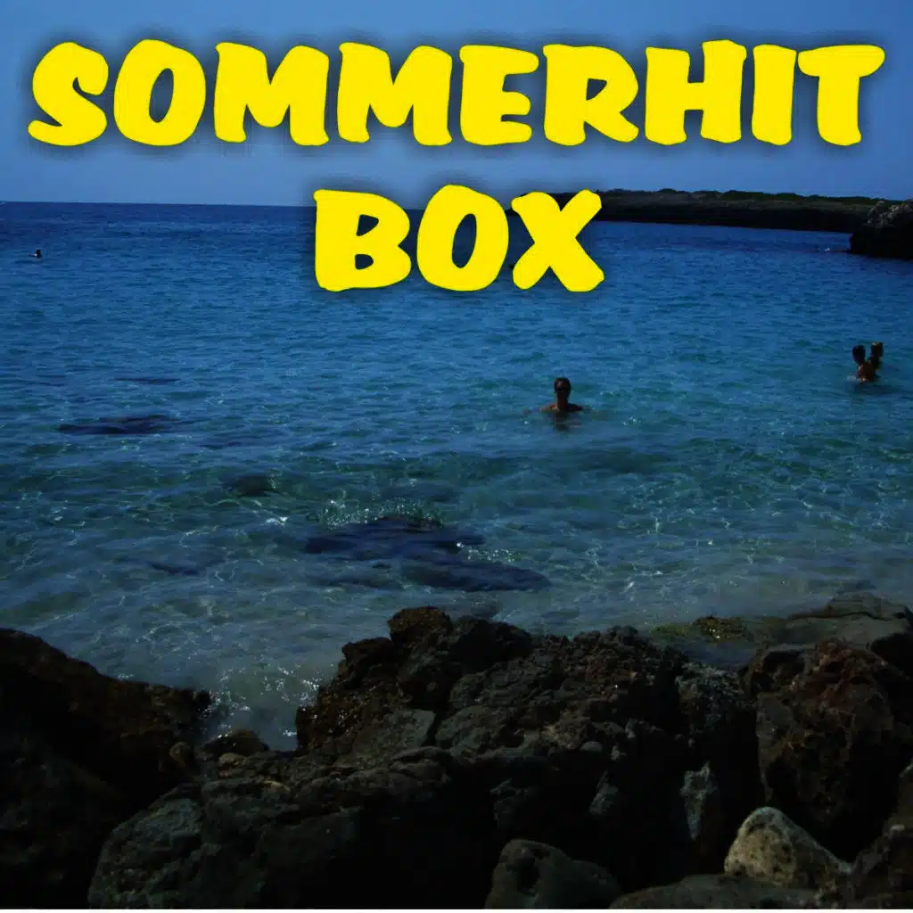 Sommerhit Box
