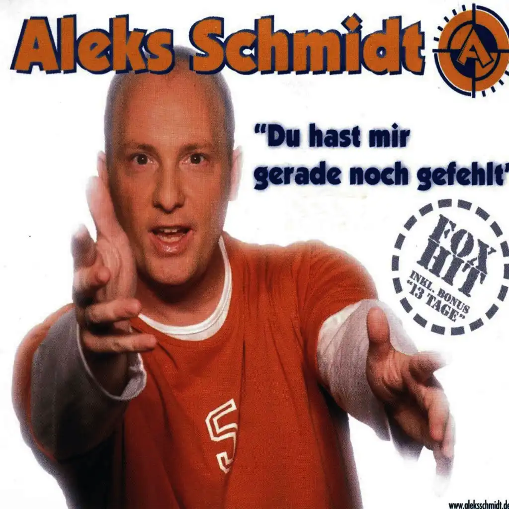 Du hast mir gerade noch gefehlt (Radio Mix)