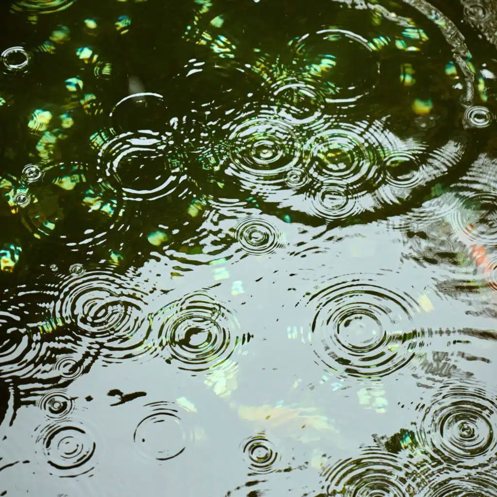 Frozen Ripples