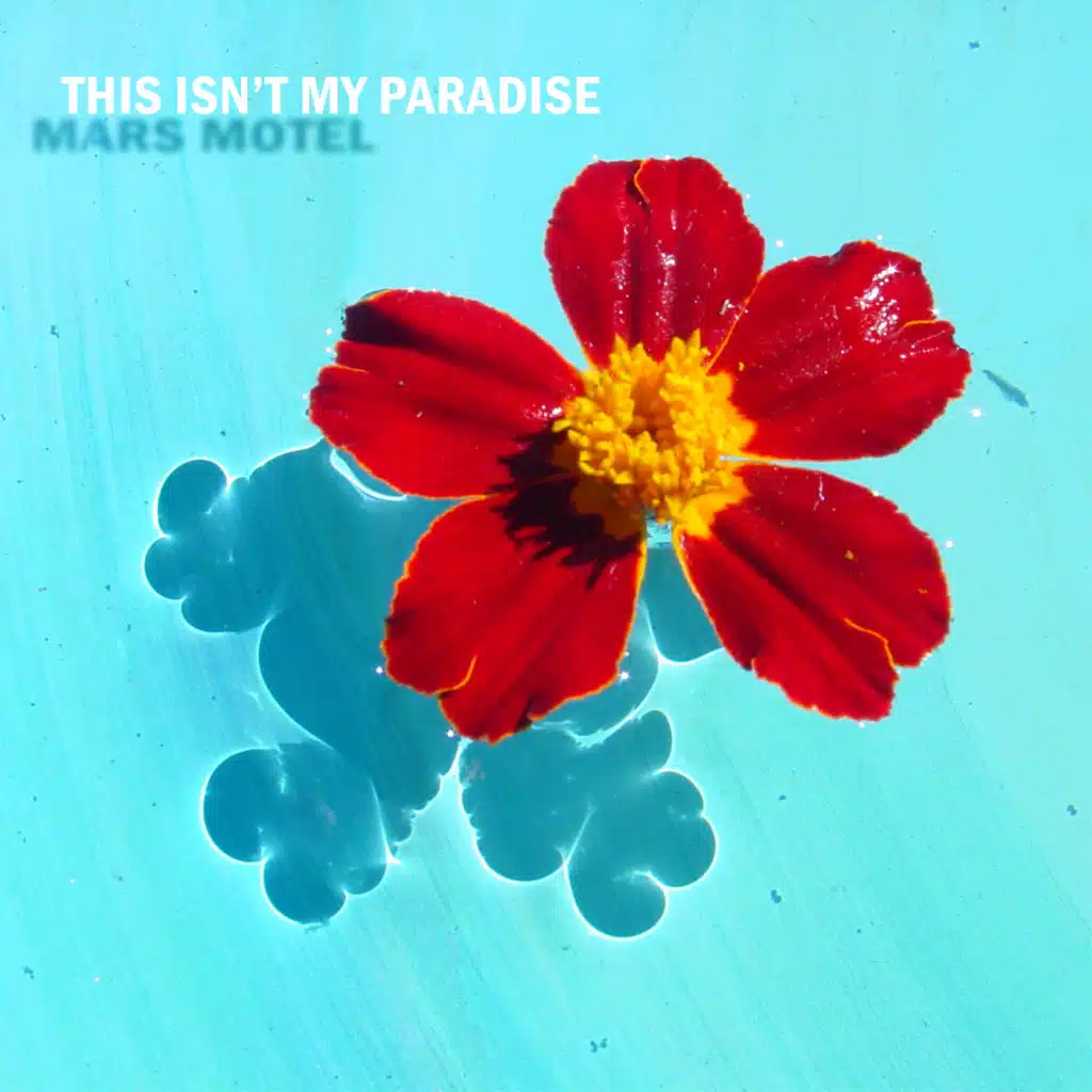 This Isn't My Paradise