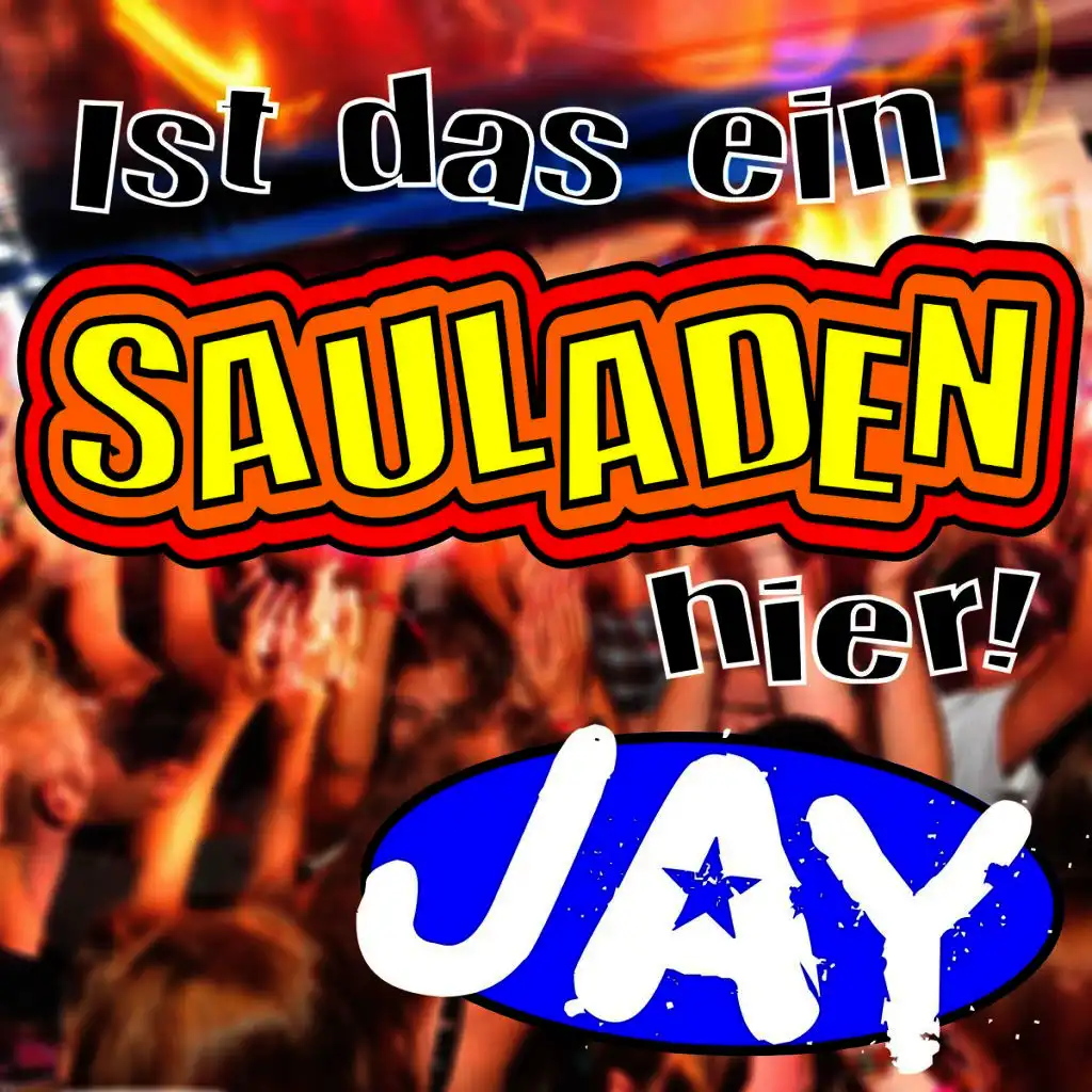 Ist das ein Sauladen hier (Karaoke)