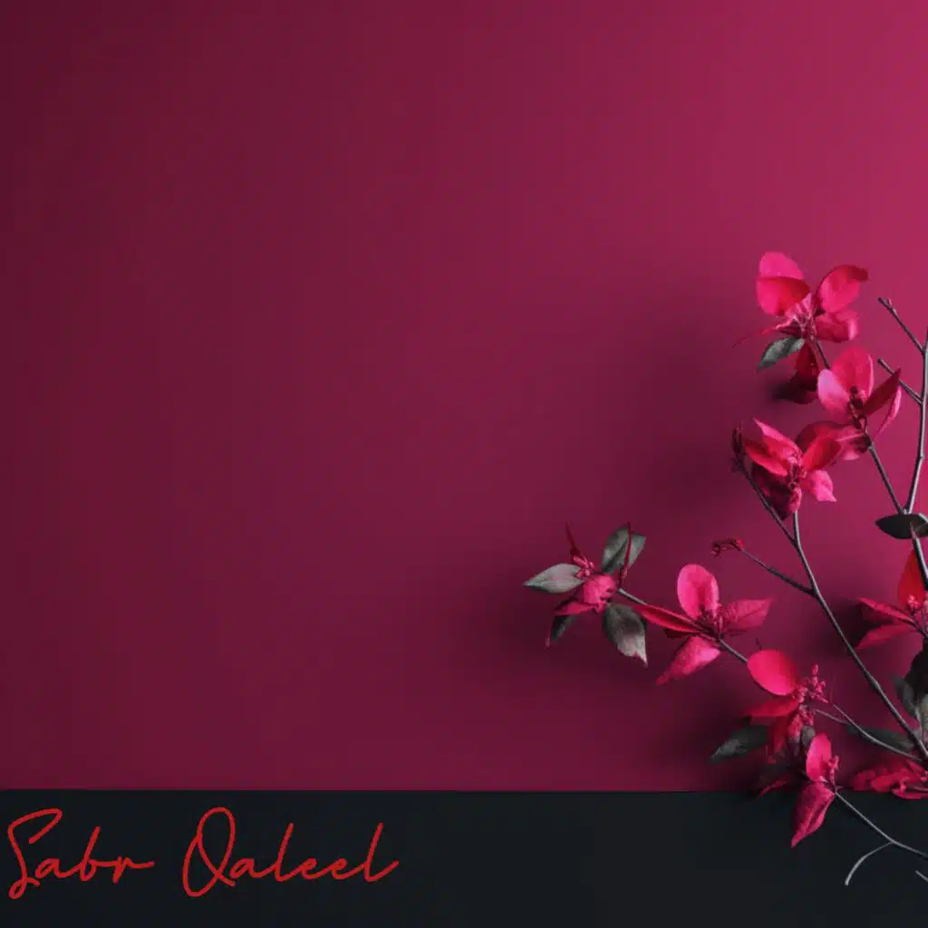 Sabr Qaleel